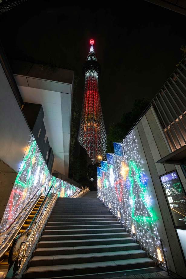 ハナミ坂から見上げるキャンドル装飾の東京スカイツリーは絶景