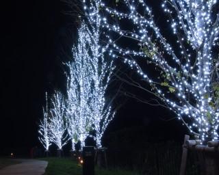 北欧のクリスマスが楽しめる 埼玉県飯能市で メッツァビレッジのクリスマス が開催中 イルミネーションガイド 21