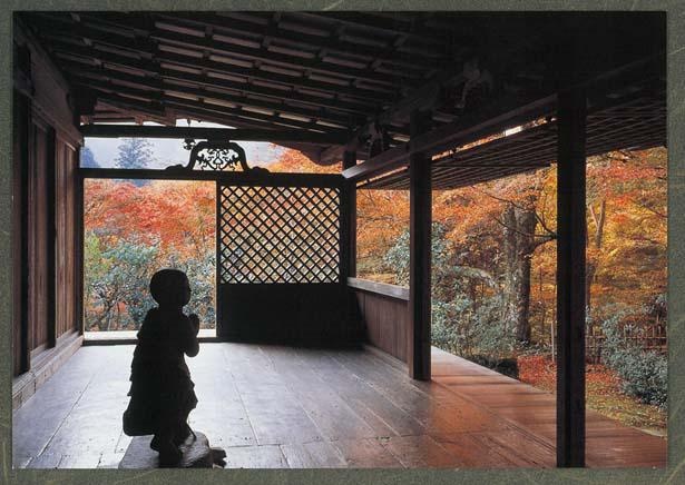 見るべき絶景は国宝・石水院から見る紅葉。鎌倉時代に建てられた一重入母屋造の石水院。廂(ひさし)の間や南庭から眺める紅葉は、時がたつのを忘れてしまうほどの美しさ/高山寺