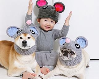 被り物が似合いすぎる、柴犬とパグが話題！女の子との3ショットにも癒される