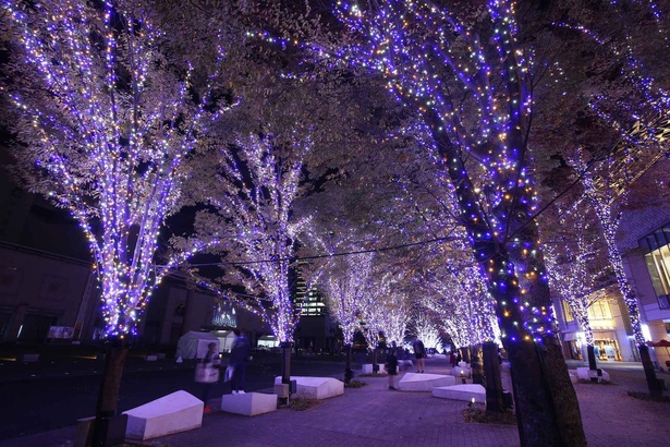 グランモール公園「美術の広場」では体感型インタラクティブ・イルミネーション「LIGHT OF HOPE ～拡がる希望の光～」を展開