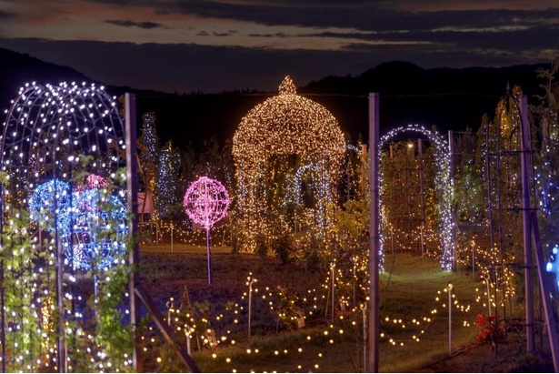 日本最大級のガーデニング庭園がライトアップ 岩手県雫石町のフラワー ガーデン森の風で ナイトガーデン イルミネーション が開催中 ウォーカープラス