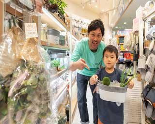 クリスマスの準備に！インテリアの揃う雑貨店や300均ショップを紹介