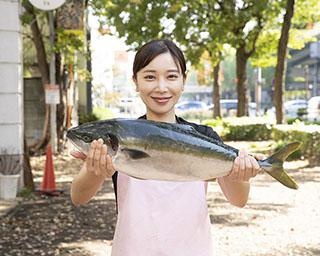 美女YouTuber「魚屋の森さん」が教える！【大きな魚のさばき方もチェック】「ブリ大根 レシピ」