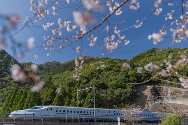 至近距離で新幹線を見られる無料の人気スポット