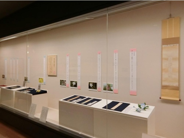 【写真】展示室では、橘曙覧が詠んだ歌と花の写真が並べられている