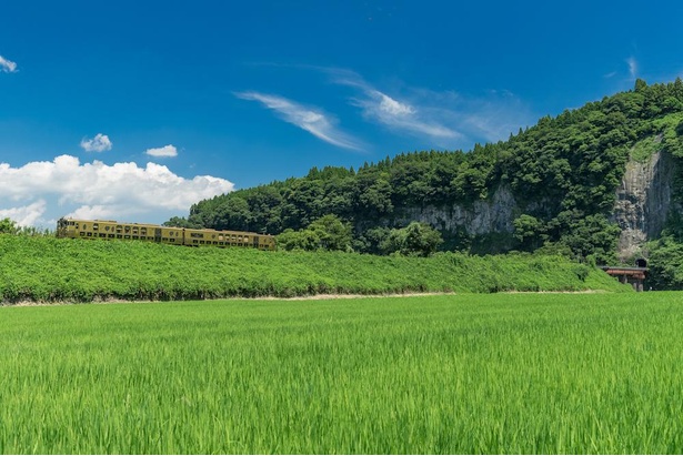 のどかな田園風景を列車が走り抜ける。トンネルの近くまで行き近距離での撮影も可能