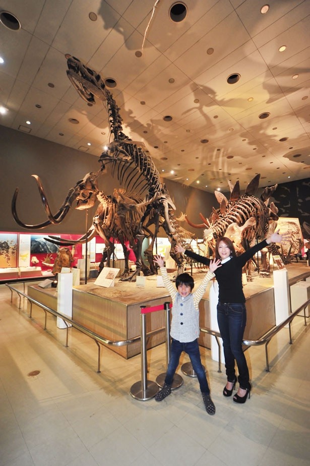 大迫力の恐竜骨格!生命の力強さを体感しよう/大阪市立自然史博物館