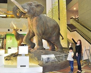 恐竜骨格に大喜び！親子で一緒に学べる大阪市立自然史博物館