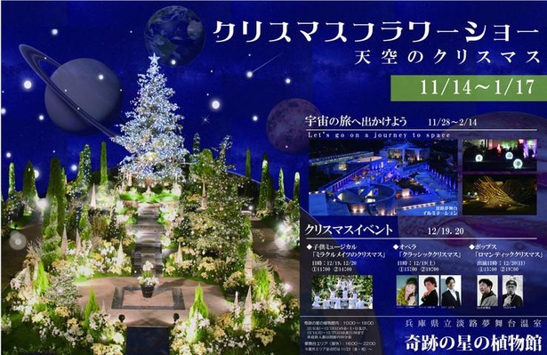 花とイルミネーションが創るクリスマスガーデン 兵庫県淡路市の奇跡の星の植物館で クリスマスフラワーショー 開催 ウォーカープラス
