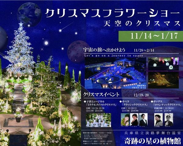 花とイルミネーションが創るクリスマスガーデン 兵庫県淡路市の奇跡の星の植物館で クリスマスフラワーショー 開催 ウォーカープラス