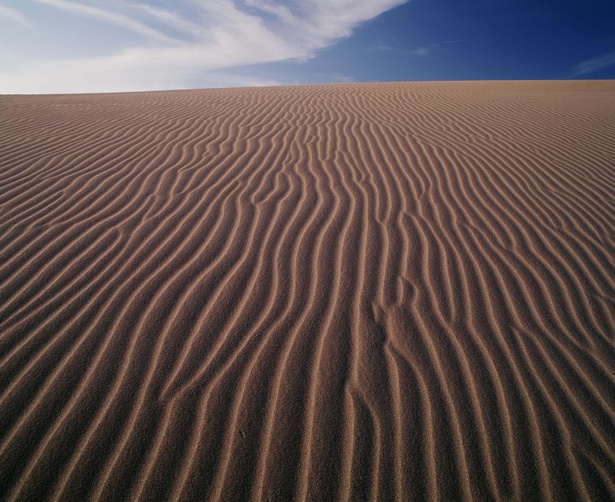 鳥取砂丘に描かれた波模様の「風紋」。「風紋」や「砂柱」は人の足跡が少ない早朝に見られることが多い