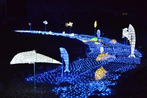 中央公園、万町アーケード、一番街アーケード、市役所本庁舎の3会場で実施される(写真は昨年の様子)