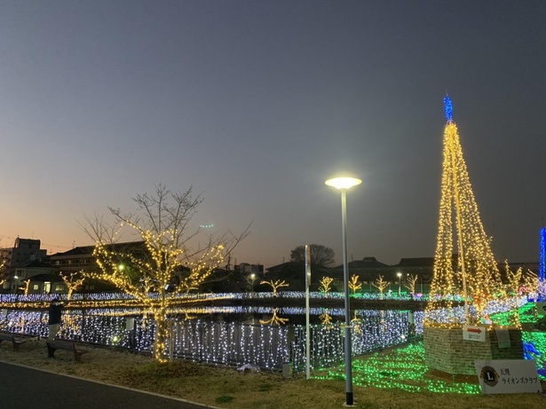 公園の池にもイルミネーションによる光の演出が施される