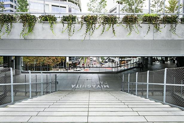 渋谷区立宮下公園へとつながる吹き抜けの大階段。植栽も多く、癒やされる