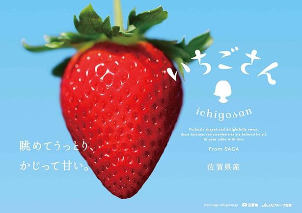 「いちごさん」は2018年秋にデビューした佐賀県のブランドいちご