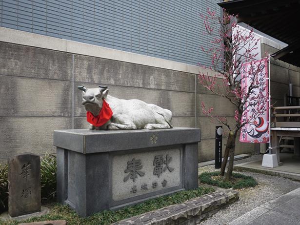 「願の水の牛」と呼ばれるウシの像 / 桜天神社