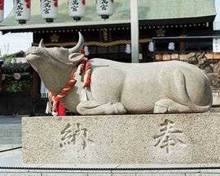 丑年の2021年にこそ訪れたい！ウシにまつわる名古屋の神社3選