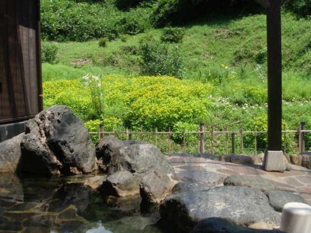 【こんな秘宝がもらえる！】自然の中の天然温泉・六石高原ホテル「あじさいの湯」入浴券5回分。抽選で10名に
