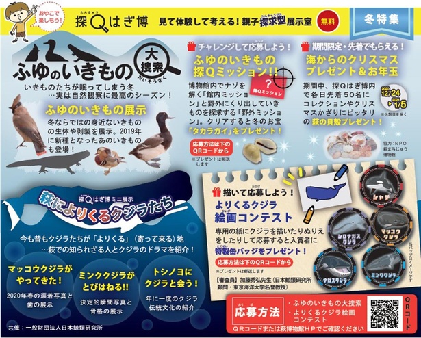 同時開催される親子向け企画「萩によりくるクジラたち」「冬のいきもの大捜索」チラシ