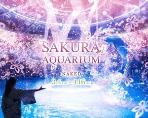 水族館×花見×デジタル！桜吹雪が舞うイルカパフォーマンス