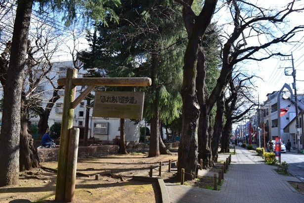 商店街の一角には緑を感じる「ふれあい遊歩道」も