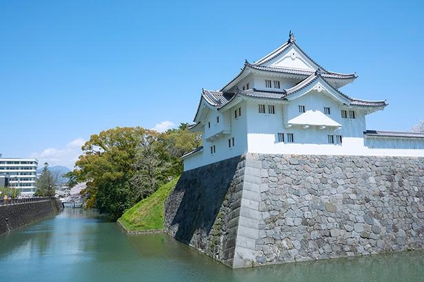 「『戦国無双』博物館応援プロジェクト」を開催するスポットの1つ「駿府城公園 坤櫓(ひつじさるやぐら)」