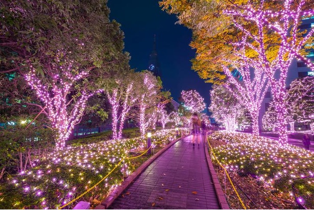 よしもと住みます芸人が イルミ大喜利 動画でご当地イルミと笑いをお届け ウォーカープラス