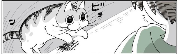 「ネコのジャマを阻止したい」02