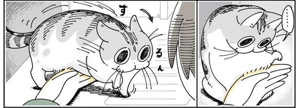 「ネコのジャマを阻止したい」05
