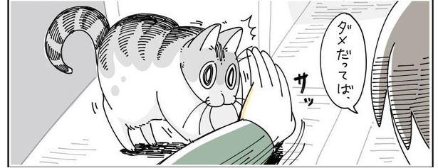 「ネコのジャマを阻止したい」06