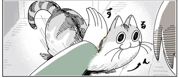 「ネコのジャマを阻止したい」07