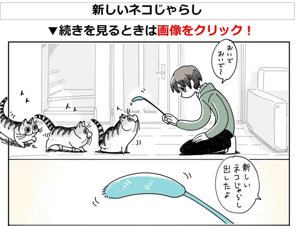 「新しいネコじゃらし」01