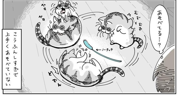 「新しいネコじゃらし」09