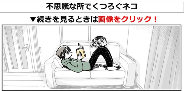 【画像】ネコ漫画を読む→(全31話)