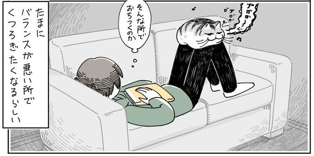 「不思議な所でくつろぐネコ」09