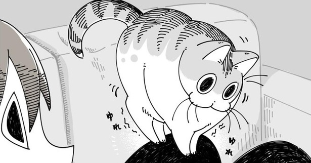 「わかりみが深い」“猫あるある”漫画がSNSで話題に