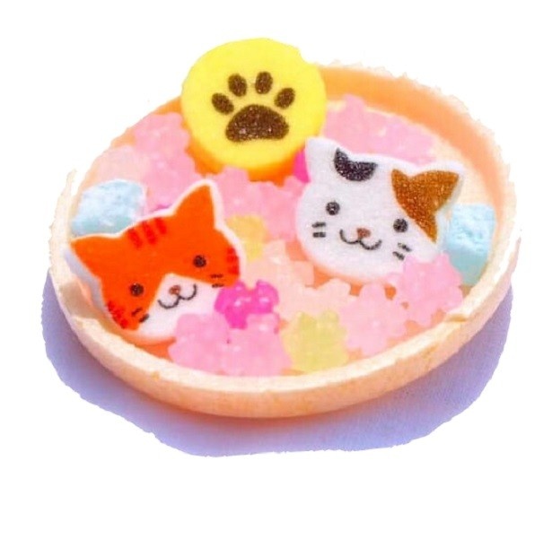 かわいいネコがこっちを見てる！ネコ好きにはたまらない～