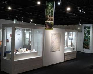 縄文人の暮らしを探訪、山梨県笛吹市の釈迦堂遺跡博物館で「森の向こうに見えた村」が開催中