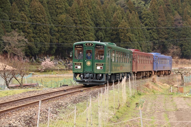 若桜鉄道観光列車・若桜号(ブリティッシュグリーン)、八頭号(ロイヤルレッド)、昭和号(ブルー)