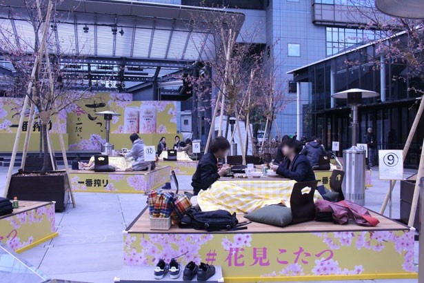 15台の掘りごたつが設置された会場の様子