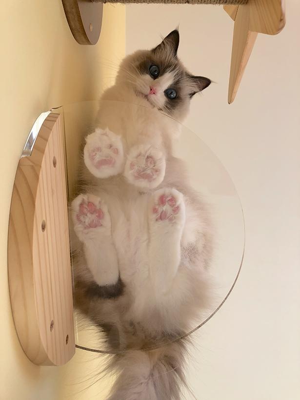 “表情筋のファンタンジスタ”こと主水ちゃん5