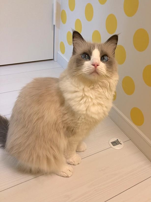 “表情筋のファンタンジスタ”こと主水ちゃん10