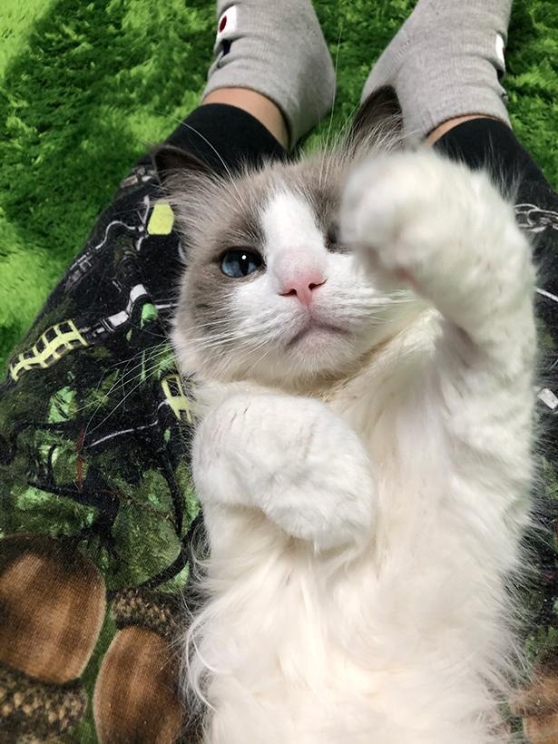 “表情筋のファンタンジスタ”こと主水ちゃん22