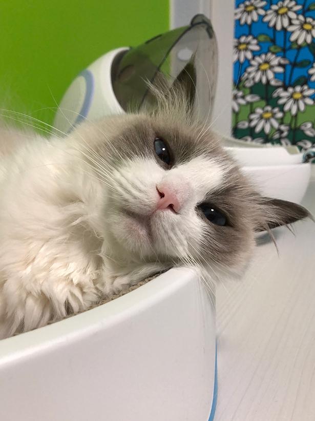 “表情筋のファンタンジスタ”こと主水ちゃん30