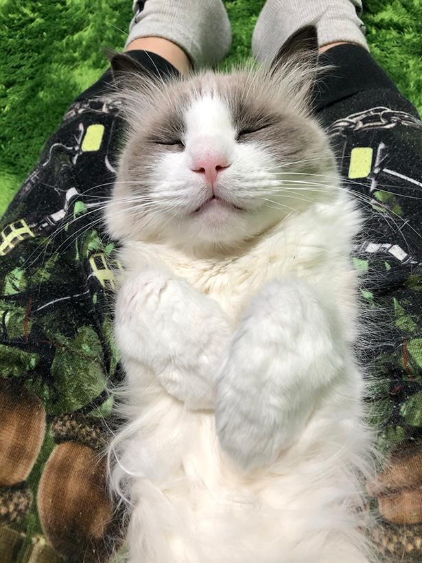 “表情筋のファンタンジスタ”こと主水ちゃん36