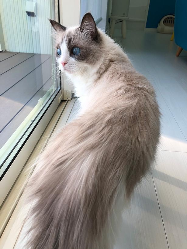 “表情筋のファンタンジスタ”こと主水ちゃん40