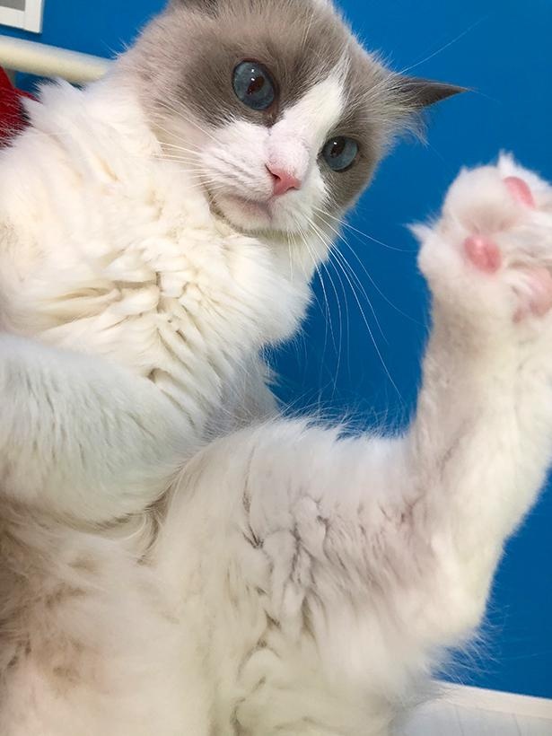 “表情筋のファンタンジスタ”こと主水ちゃん26