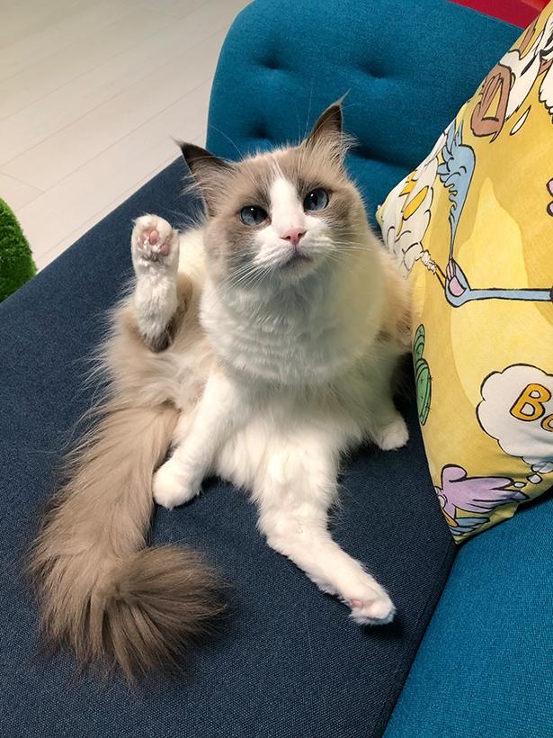 “表情筋のファンタンジスタ”こと主水ちゃん41