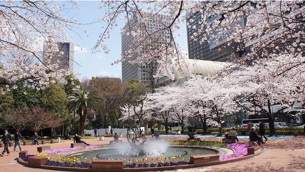 ビジネス街にある都会のオアシスでは四季折々に咲く花々と桜が同時に楽しめる